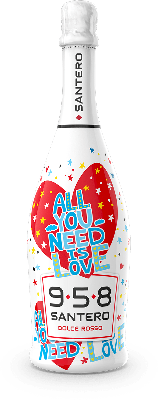 bottiglia-sleever-750-all-you-need-is-love