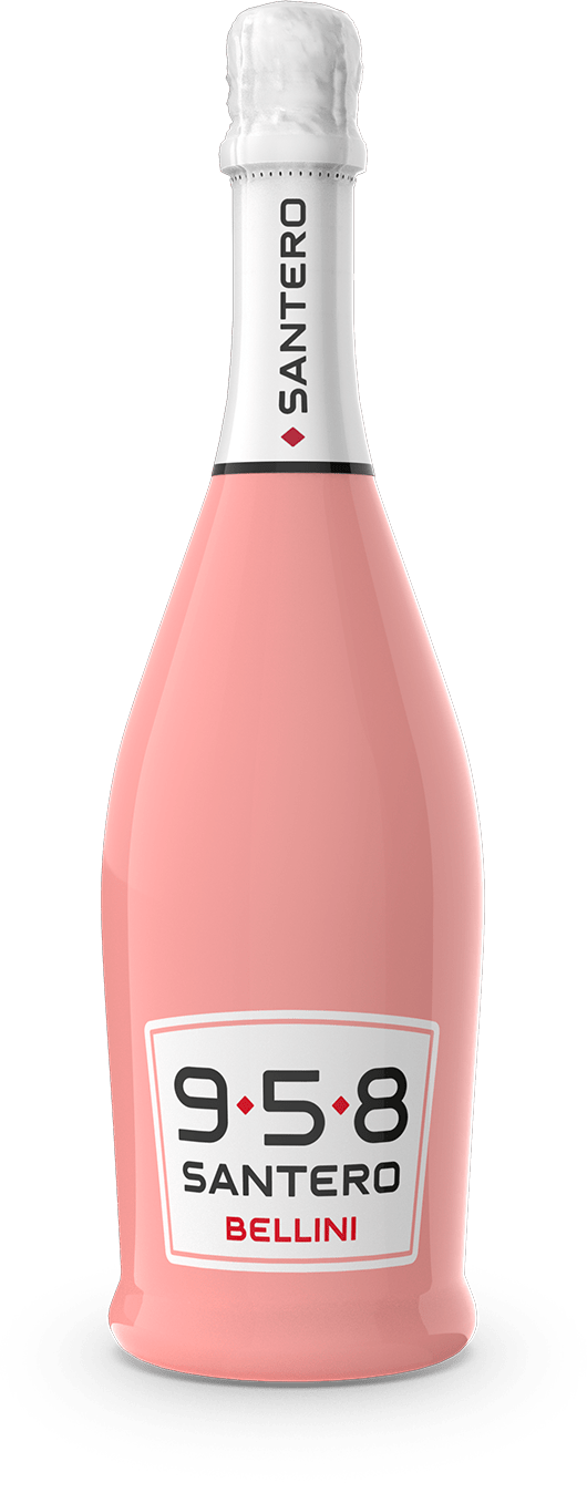 bottiglia-sleever-750-bellini