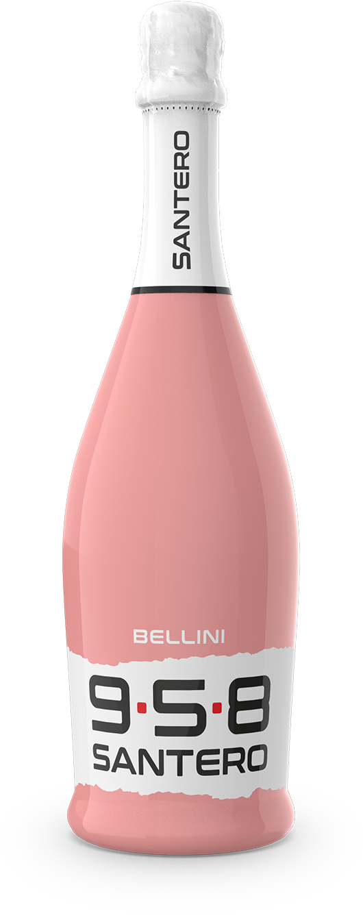 bottiglia-sleever-750-big-logo-bellini