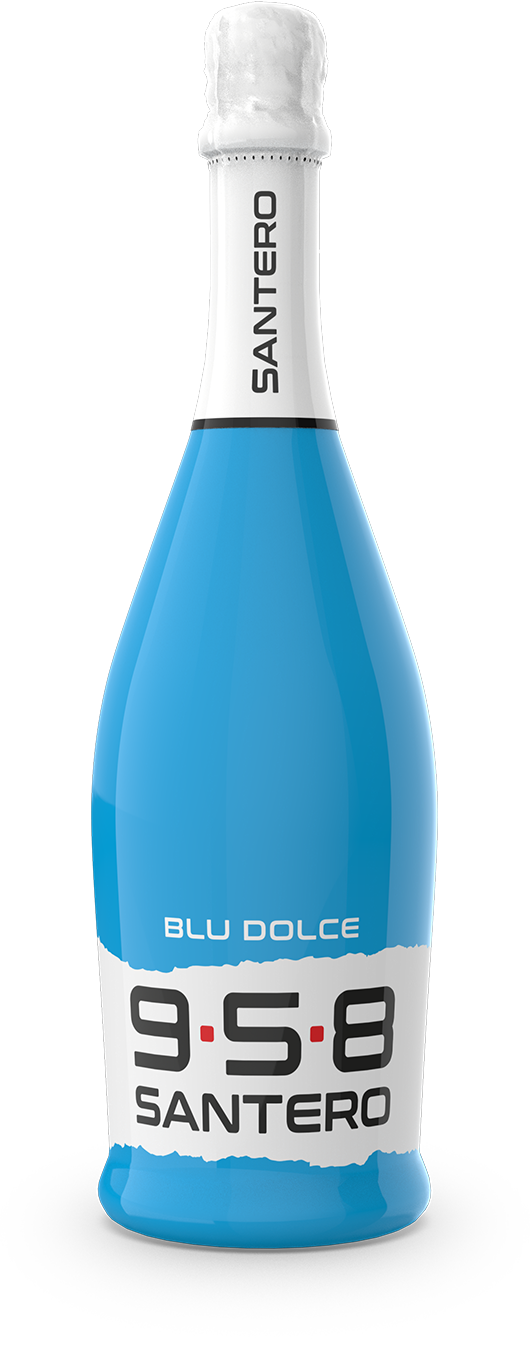 bottiglia-sleever-750-big-logo-blue-dolce