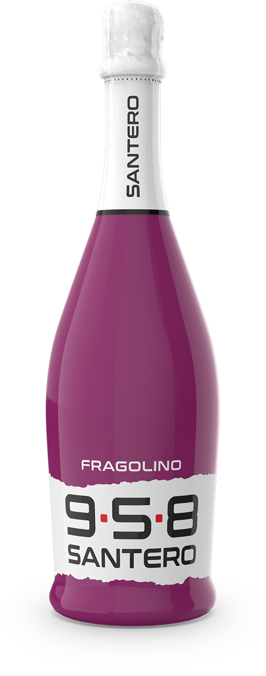 bottiglia-sleever-750-big-logo-fragolino