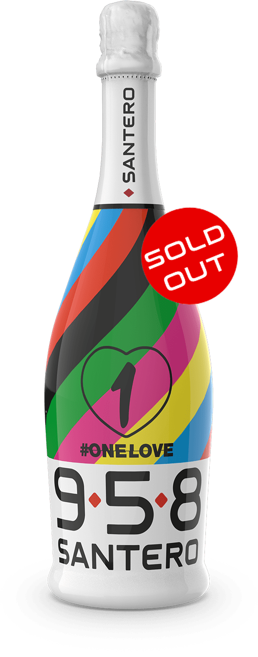 bottiglia-sleever-750-one-love