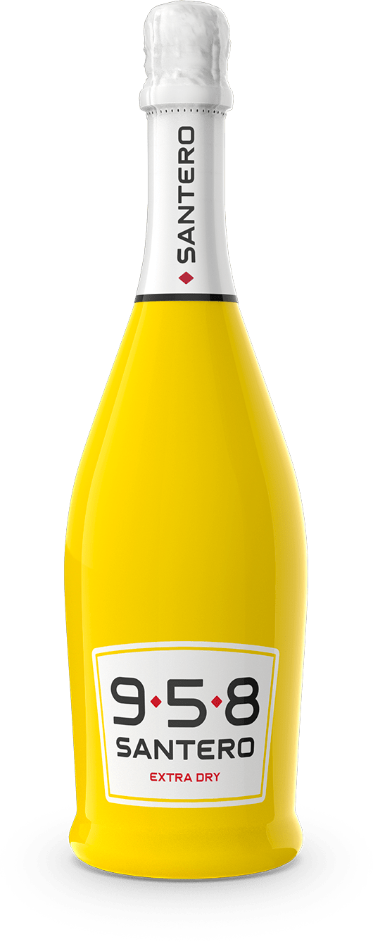 bottiglia-sleever-750-pop